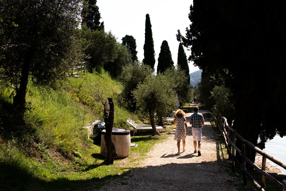 I sentieri fra gli ulivi